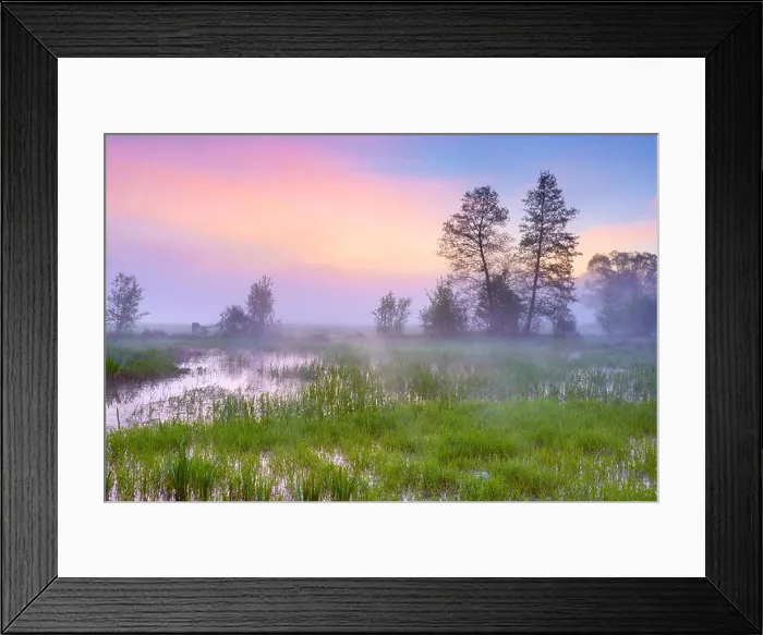 Framed Print : Biebrza National Park, sunrise landscape, Poland Framed Print : Biebrza National Park, sunrise landscape, Poland