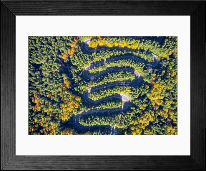 Framed Print : Aerial view of a winding mountain road passing through a fir trees forest. Autumn colors Framed Print : Aerial view of a winding mountain road passing through a fir trees forest. Autumn colors