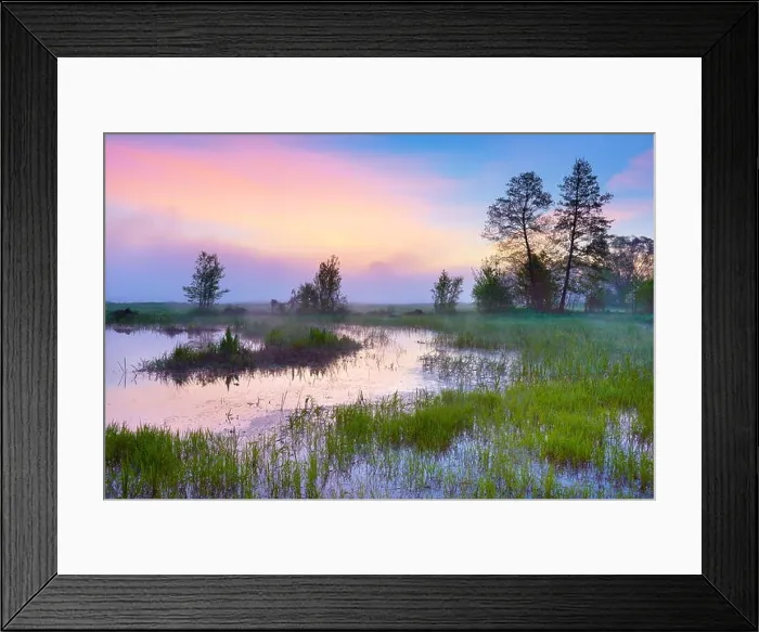 Framed Print : Spring landscape, Biebrza National Park, Podlasie region, Poland Framed Print : Spring landscape, Biebrza National Park, Podlasie region, Poland