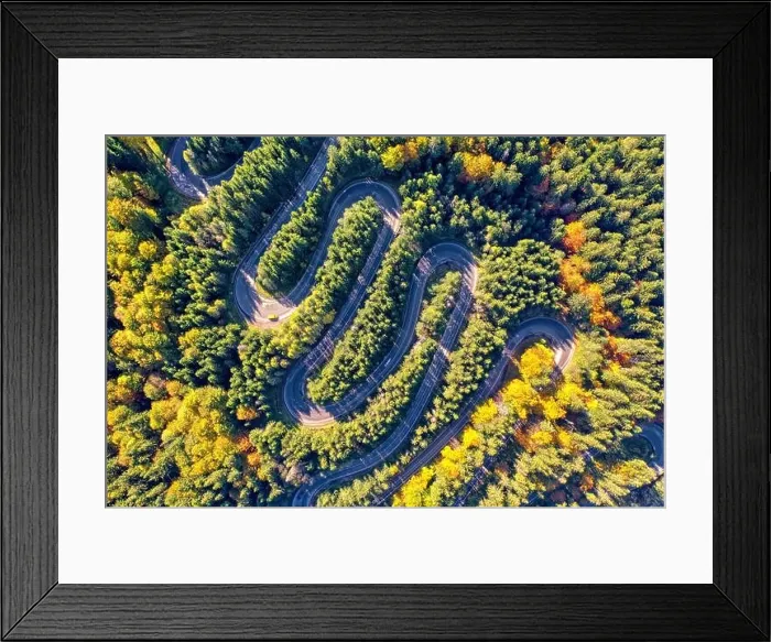 Framed Print : Aerial view of a winding mountain road passing through a fir trees forest. Autumn colors Framed Print : Aerial view of a winding mountain road passing through a fir trees forest. Autumn colors