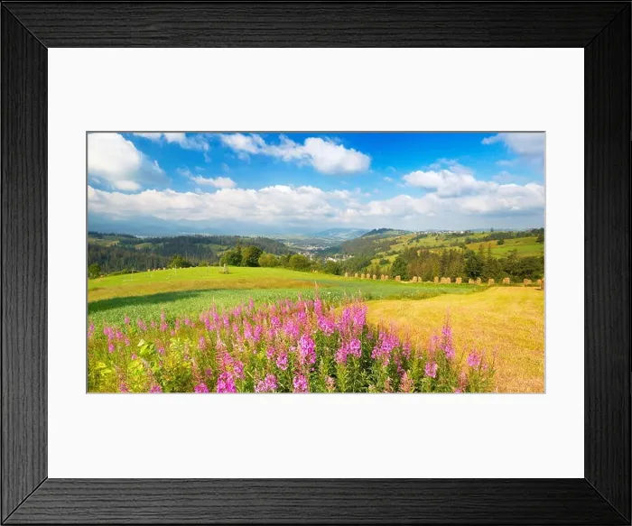 Framed Print : Spring countryside landscape with flowers, Poland Framed Print : Spring countryside landscape with flowers, Poland