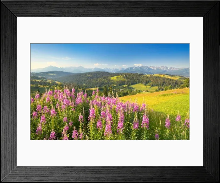 Framed Print : Spring countryside landscape with flowers, Poland Framed Print : Spring countryside landscape with flowers, Poland