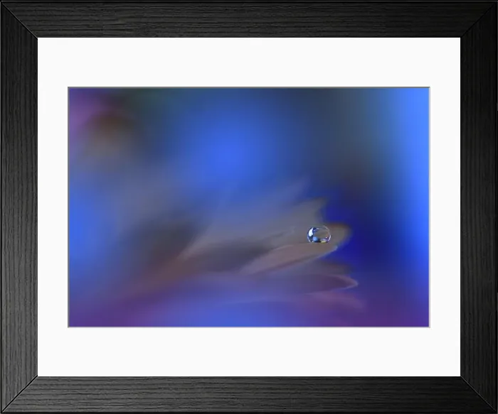 Framed Print : Beautiful Nature Background.Floral Art Design.Abstract Macro Photography.Colorful Flower.Creative Artistic Wallpaper.Classic Blue Color.Celebration Framed Print : Beautiful Nature Background.Floral Art Design.Abstract Macro Photography.Colorful Flower.Creative Artistic Wallpaper.Classic Blue Color.Celebration