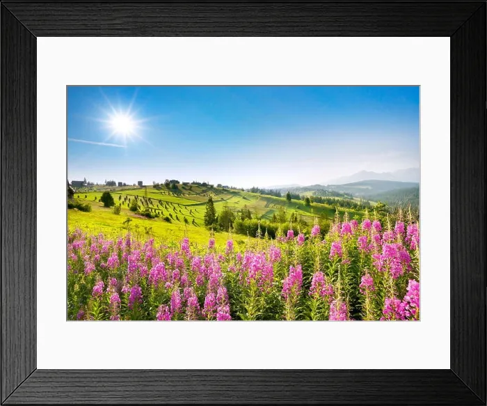 Framed Print : Spring landscape, Poland Framed Print : Spring landscape, Poland