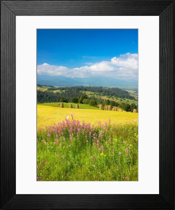 Framed Print : Countryside spring landscape, Podhale region, Poland Framed Print : Countryside spring landscape, Podhale region, Poland