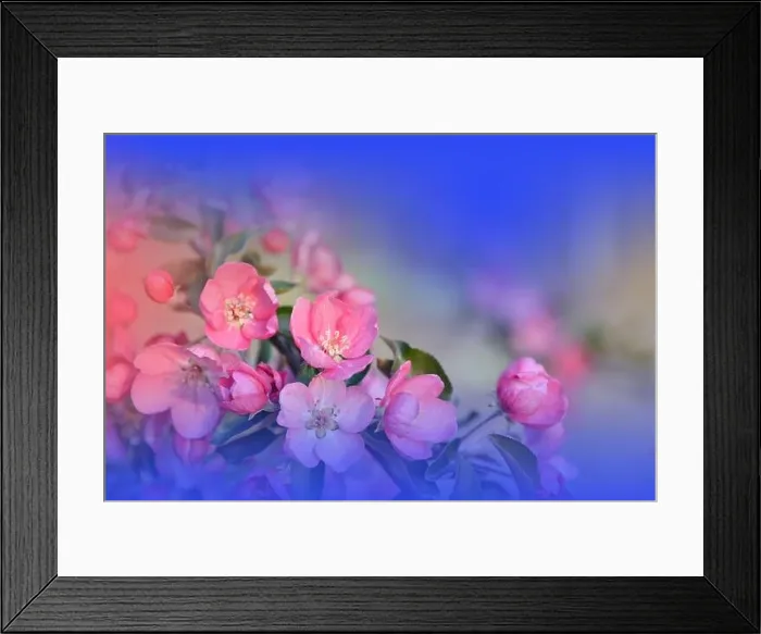 Framed Print : Beautiful Nature Background.Floral Art Design.Abstract Macro Photography.Spring Flowers.Creative Artistic Wallpaper.Celebration, love.Blue Color.Cherry Framed Print : Beautiful Nature Background.Floral Art Design.Abstract Macro Photography.Spring Flowers.Creative Artistic Wallpaper.Celebration, love.Blue Color.Cherry