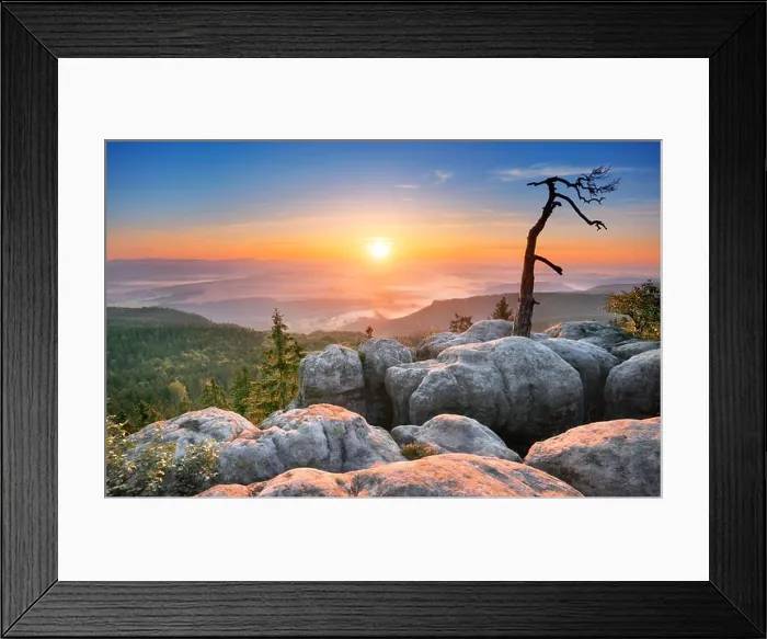 Framed Print : Single alone tree landscape at Sudety Mountains at sunrise, National Park, Poland Framed Print : Single alone tree landscape at Sudety Mountains at sunrise, National Park, Poland