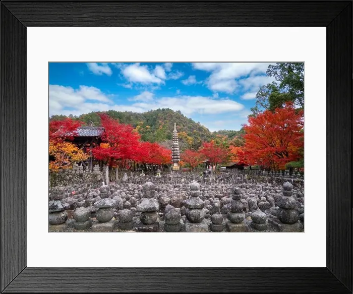 Framed Print : Stone statues marking graves in Adashino Nenbutsuji Temple on the outskirts of Arashiyama with red, yellow maple carpet at peak fall foliage color dur Framed Print : Stone statues marking graves in Adashino Nenbutsuji Temple on the outskirts of Arashiyama with red, yellow maple carpet at peak fall foliage color dur