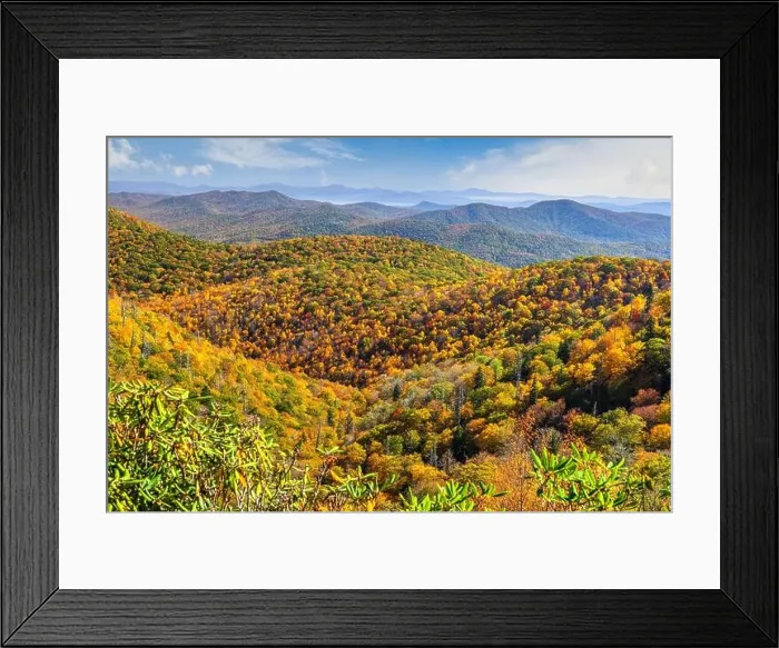 Framed Print : Pisgah National Forest, North Carolina, USA during autumn Framed Print : Pisgah National Forest, North Carolina, USA during autumn