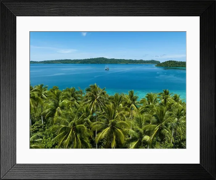 Framed Print : Palm trees grow on a scenic tropical island off the coast of West Papua, Indonesia. This remote part of Indonesia is known for its high biodiversity