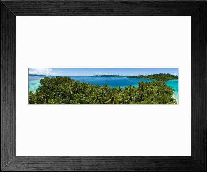 Framed Print : Palm trees grow on a scenic tropical island off the coast of West Papua, Indonesia. This remote part of Indonesia is known for its high biodiversity Framed Print : Palm trees grow on a scenic tropical island off the coast of West Papua, Indonesia. This remote part of Indonesia is known for its high biodiversity