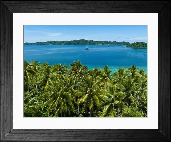 Framed Print : Palm trees grow on a scenic tropical island off the coast of West Papua, Indonesia. This remote part of Indonesia is known for its high biodiversity Framed Print : Palm trees grow on a scenic tropical island off the coast of West Papua, Indonesia. This remote part of Indonesia is known for its high biodiversity