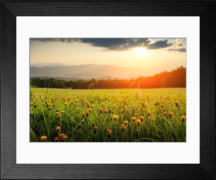 Framed Print : Amazing scene in summer mountains. Lush green grassy meadows with yello flowers in fantastic evening sunlight. Carpathians, Europe Framed Print : Amazing scene in summer mountains. Lush green grassy meadows with yello flowers in fantastic evening sunlight. Carpathians, Europe
