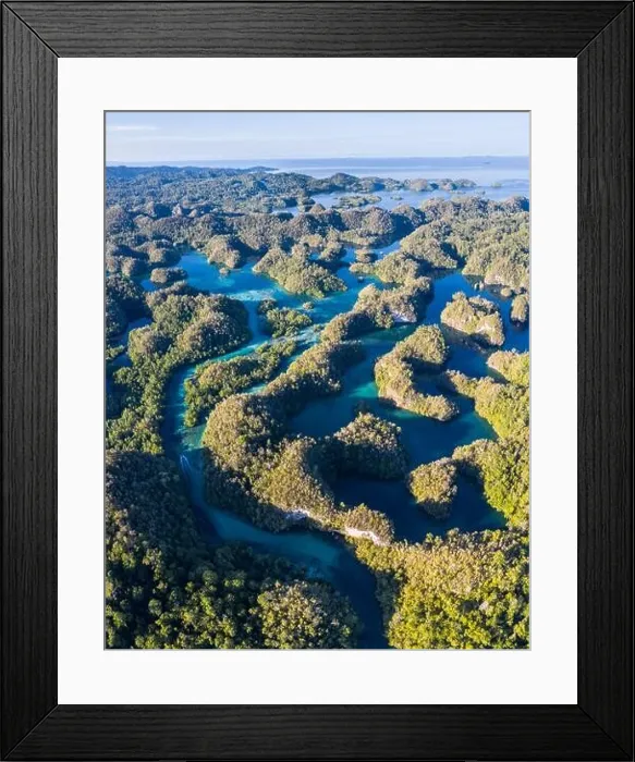 Framed Print : A maze of limestone islands rises from a remote lagoon in the island of Gam, Raja Ampat. This area is home to extraordinary marine biodiversity Framed Print : A maze of limestone islands rises from a remote lagoon in the island of Gam, Raja Ampat. This area is home to extraordinary marine biodiversity