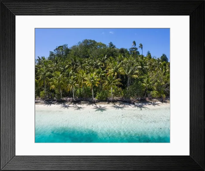 Framed Print : A remote, white sand beach, shaded by coconut palm trees, is surrounded by clear, warm water in Raja Ampat, Indonesia. This tropical area is gorgeous Framed Print : A remote, white sand beach, shaded by coconut palm trees, is surrounded by clear, warm water in Raja Ampat, Indonesia. This tropical area is gorgeous