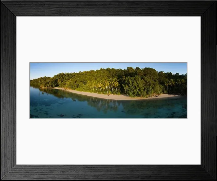 Framed Print : Palm trees grow along a scenic beach off the coast of West Papua, Indonesia. This remote part of Indonesia is known for its high marine biodiversity Framed Print : Palm trees grow along a scenic beach off the coast of West Papua, Indonesia. This remote part of Indonesia is known for its high marine biodiversity