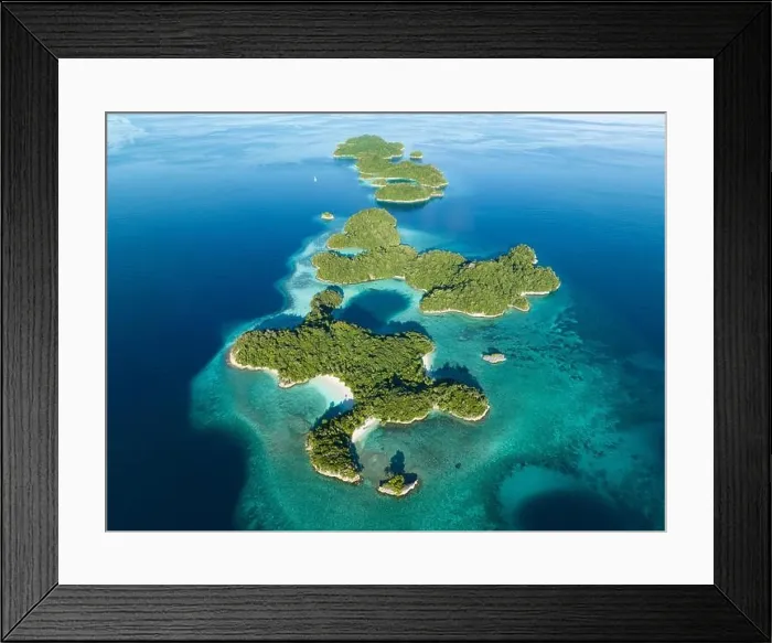Framed Print : Healthy fringing coral reefs grow around the beautiful islands that rise from West Papua's seascape. This area is known for its high biodiversity Framed Print : Healthy fringing coral reefs grow around the beautiful islands that rise from West Papua's seascape. This area is known for its high biodiversity