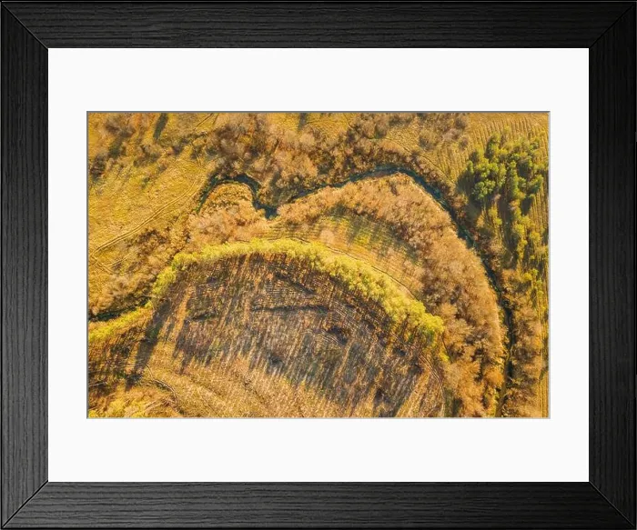 Framed Print : Aerial View Green Forest In Deforestation Area Landscape. Top View Of Shadows From Woods Trunks. Growing Forest. European Nature From High Attitude In