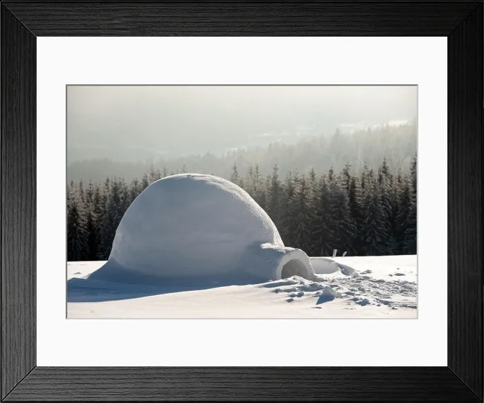 Framed Print : Real snow igloo house in the winter Carpathian mountains. Snow-covered firs on the background Framed Print : Real snow igloo house in the winter Carpathian mountains. Snow-covered firs on the background