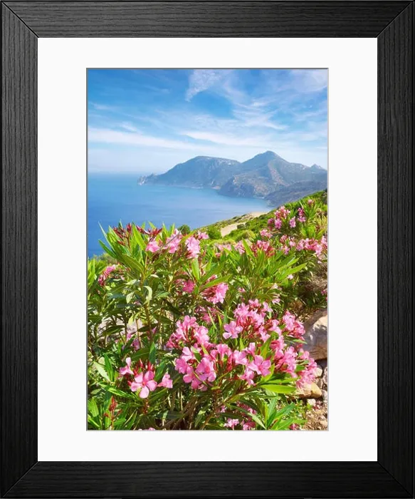 Framed Print : Kos - Dodecanese Islands, Greece, view of the Krikello Cape