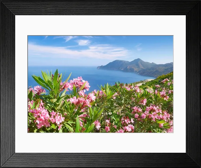 Framed Print : Kos - Dodecanese Islands, Greece, view of the Krikello Cape Framed Print : Kos - Dodecanese Islands, Greece, view of the Krikello Cape