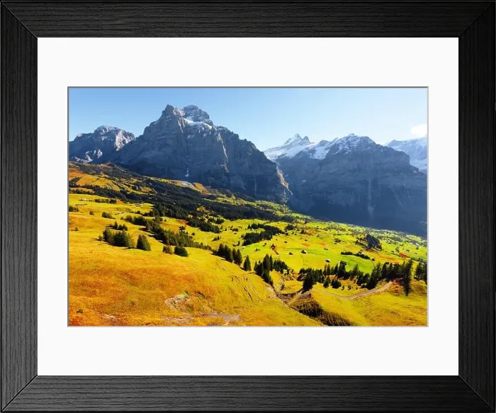 Framed Print : Picturesque autumn landscape with green meadow and blue snowy mountains in Grindelwald village in Swiss Alps Framed Print : Picturesque autumn landscape with green meadow and blue snowy mountains in Grindelwald village in Swiss Alps