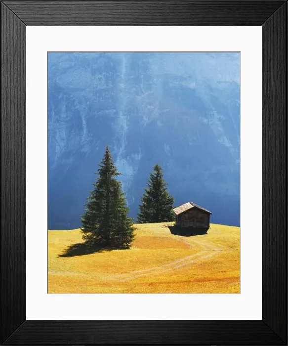 Framed Print : Picturesque autumn landscape with wooden cabin on green meadow and firtrees in Grindelwald village in Swiss Alps Framed Print : Picturesque autumn landscape with wooden cabin on green meadow and firtrees in Grindelwald village in Swiss Alps