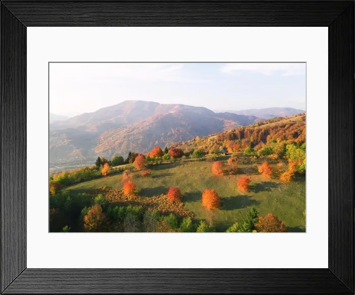 Framed Print : Picturesque autumn meadow with wooden house and red beech trees in the mountains Framed Print : Picturesque autumn meadow with wooden house and red beech trees in the mountains