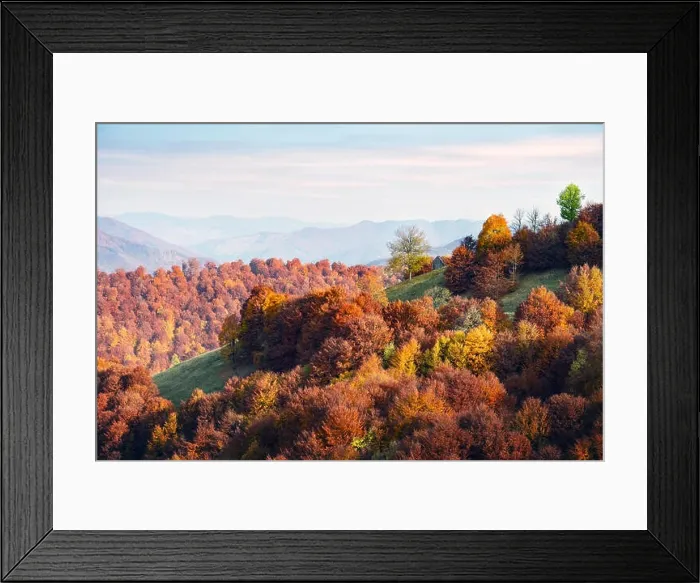 Framed Print : Picturesque autumn forest with wooden house and red beech trees in the Carpathian mountains, Ukraine. Landscape photography Framed Print : Picturesque autumn forest with wooden house and red beech trees in the Carpathian mountains, Ukraine. Landscape photography