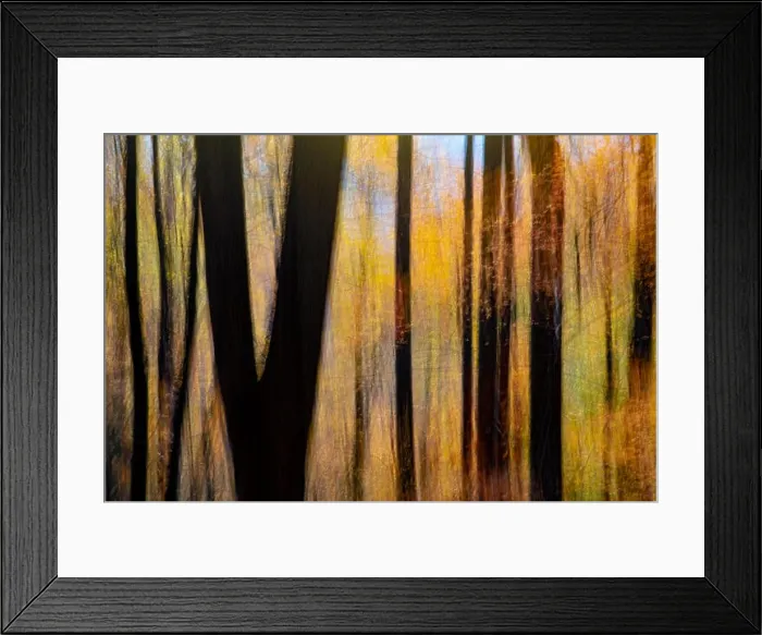 Framed Print : Painterly abstract motion blur of vibrant fall colors in Pisgah National Forest, Brevard, North Carolina, USA Framed Print : Painterly abstract motion blur of vibrant fall colors in Pisgah National Forest, Brevard, North Carolina, USA