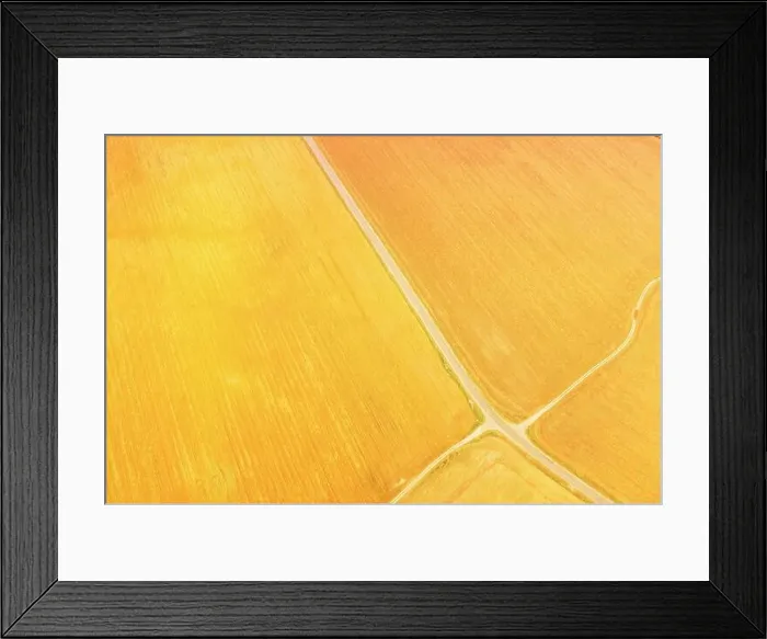Framed Print : yellow Clusters Of Agricultural Fields Sown With Different Crops. Aerial View country road through fields. Golden Wheat Agricultural Summer Season Framed Print : yellow Clusters Of Agricultural Fields Sown With Different Crops. Aerial View country road through fields. Golden Wheat Agricultural Summer Season