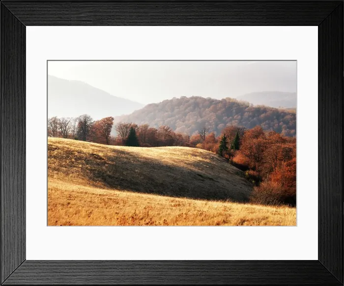 Framed Print : Picturesque autumn mountains with red beech forest in the Carpathian mountains, Ukraine. Landscape photography Framed Print : Picturesque autumn mountains with red beech forest in the Carpathian mountains, Ukraine. Landscape photography