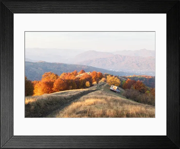 Framed Print : Picturesque autumn meadow with wooden house and red beech trees in the Carpathian mountains, Ukraine. Landscape photography Framed Print : Picturesque autumn meadow with wooden house and red beech trees in the Carpathian mountains, Ukraine. Landscape photography