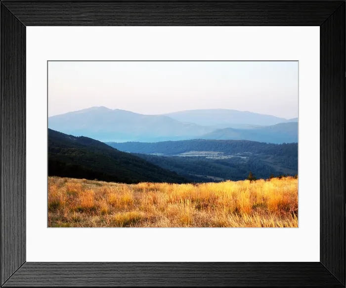 Framed Print : Yellow grass trembling in the wind in autumn mountains at sunrise. Carpathian mountains, Ukraine. Landscape photography Framed Print : Yellow grass trembling in the wind in autumn mountains at sunrise. Carpathian mountains, Ukraine. Landscape photography