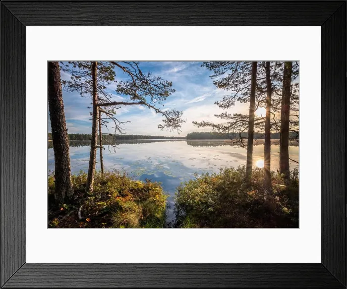 Framed Print : Scenic sunrise landscape with lake and woodland at peaceful summer morning in Finland Framed Print : Scenic sunrise landscape with lake and woodland at peaceful summer morning in Finland
