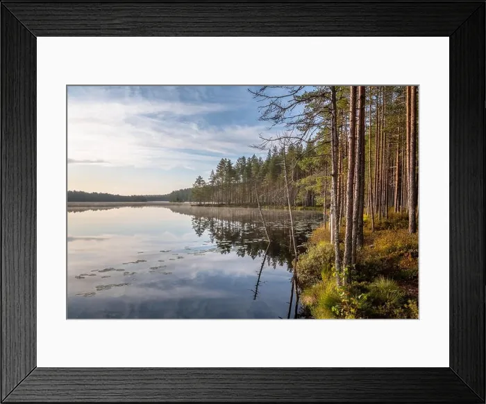 Framed Print : Scenic sunrise landscape with lake and woodland at peaceful summer morning in Finland Framed Print : Scenic sunrise landscape with lake and woodland at peaceful summer morning in Finland
