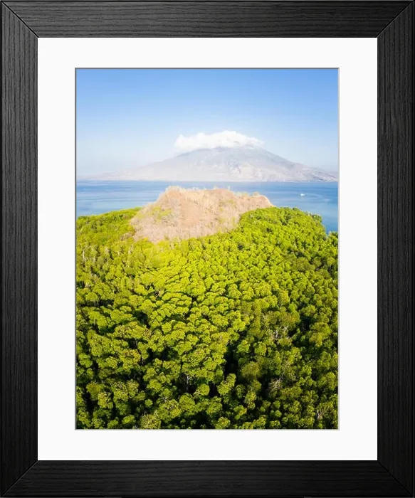 Framed Print : A mangrove forest fringes an island near the volcano of Iliape in the Lesser Sunda Islands, east of Flores. This area is high in marine biodiversity Framed Print : A mangrove forest fringes an island near the volcano of Iliape in the Lesser Sunda Islands, east of Flores. This area is high in marine biodiversity