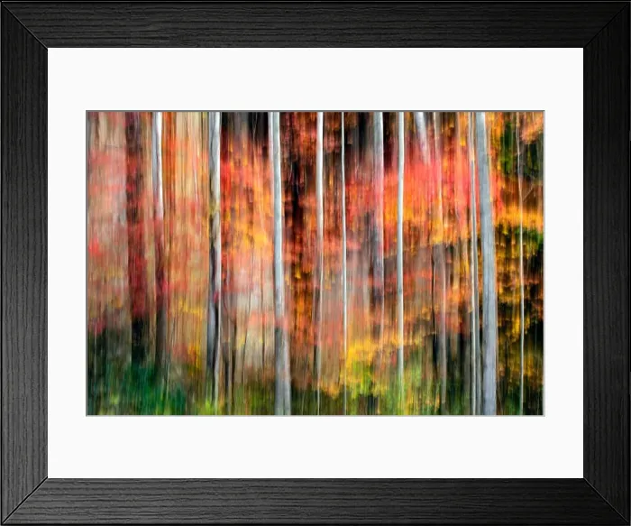 Framed Print : Painterly abstract motion blur of vibrant fall colors in Pisgah National Forest, Brevard, North Carolina, USA Framed Print : Painterly abstract motion blur of vibrant fall colors in Pisgah National Forest, Brevard, North Carolina, USA