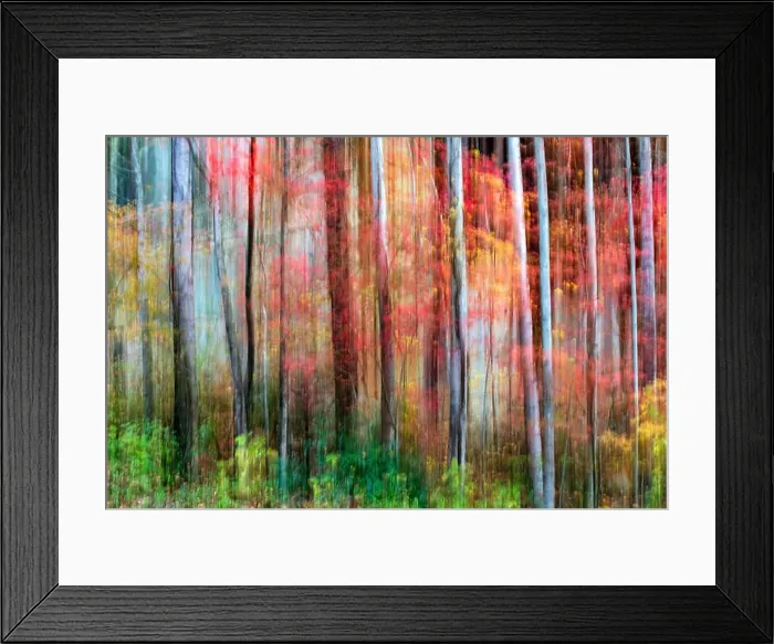 Framed Print : Painterly abstract motion blur of vibrant fall colors in Pisgah National Forest, Brevard, North Carolina, USA Framed Print : Painterly abstract motion blur of vibrant fall colors in Pisgah National Forest, Brevard, North Carolina, USA