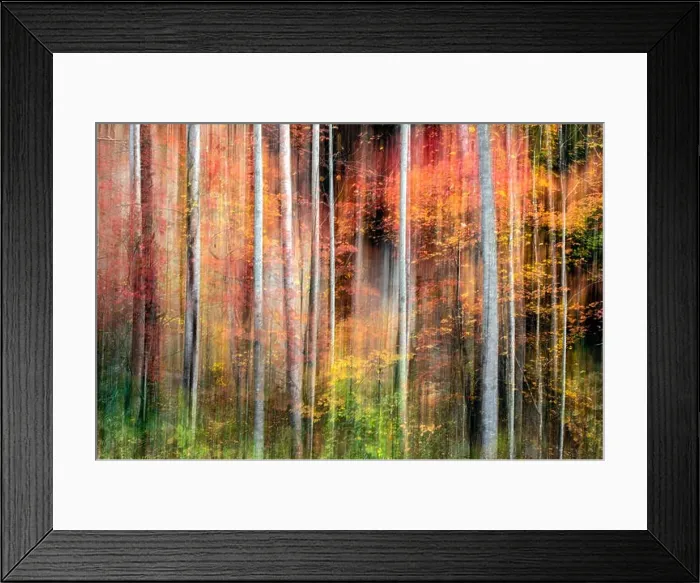 Framed Print : Painterly abstract motion blur of vibrant fall colors in Pisgah National Forest, Brevard, North Carolina, USA Framed Print : Painterly abstract motion blur of vibrant fall colors in Pisgah National Forest, Brevard, North Carolina, USA