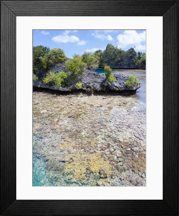 Framed Print : A beautiful coral reef surrounds a small island amid the tropical seascape in Raja Ampat, Indonesia. This remote region is known for its biodiversity Framed Print : A beautiful coral reef surrounds a small island amid the tropical seascape in Raja Ampat, Indonesia. This remote region is known for its biodiversity