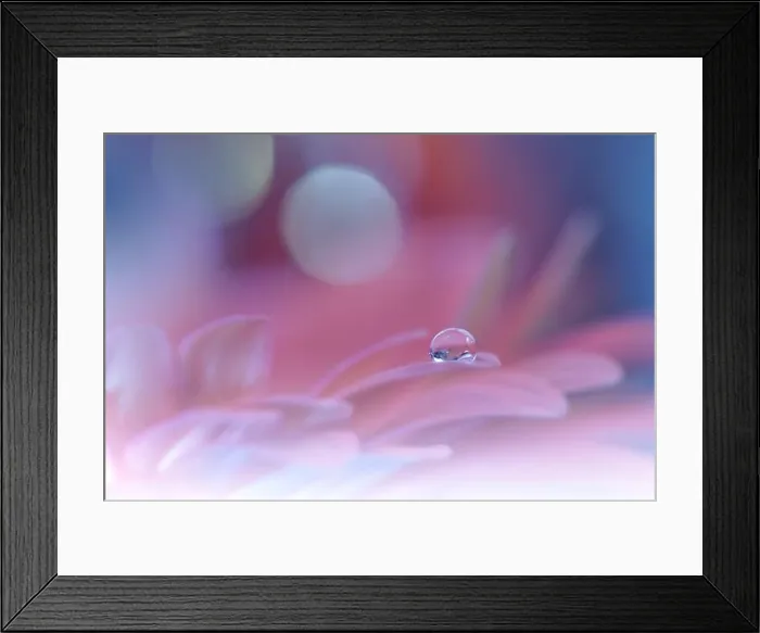 Framed Print : Beautiful Macro Photo.Colorful Flowers.Border Art Design.Magic Light.Close up Photography.Conceptual Abstract Image.Violet Background.Water Drop