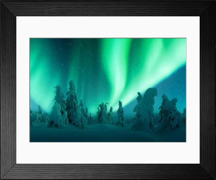 Framed Print : Northern lights in winter forest. Aurora borealis. Sky with polar lights and stars. Night winter landscape with aurora and pine tree forest Framed Print : Northern lights in winter forest. Aurora borealis. Sky with polar lights and stars. Night winter landscape with aurora and pine tree forest
