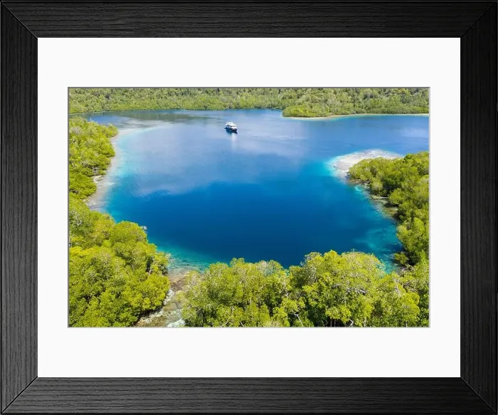 Framed Print : Beautiful coral reefs fringe the islands throughout Raja Ampat, Indonesia. This tropical area is known for its incredibly high marine biodiversity Framed Print : Beautiful coral reefs fringe the islands throughout Raja Ampat, Indonesia. This tropical area is known for its incredibly high marine biodiversity