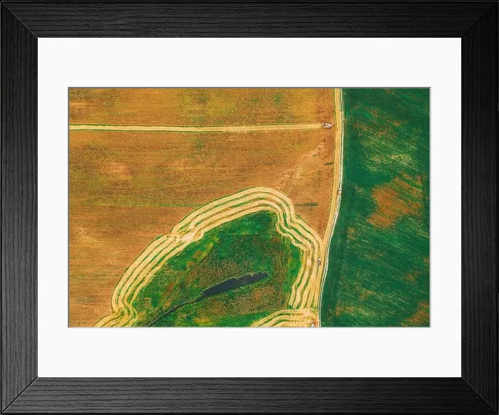 Framed Print : Aerial View Of Rural Landscape. Combine Harvester Working In Field, Collects Seeds. Harvesting Of Wheat In Late Summer. Agricultural Machine Collectin Framed Print : Aerial View Of Rural Landscape. Combine Harvester Working In Field, Collects Seeds. Harvesting Of Wheat In Late Summer. Agricultural Machine Collectin