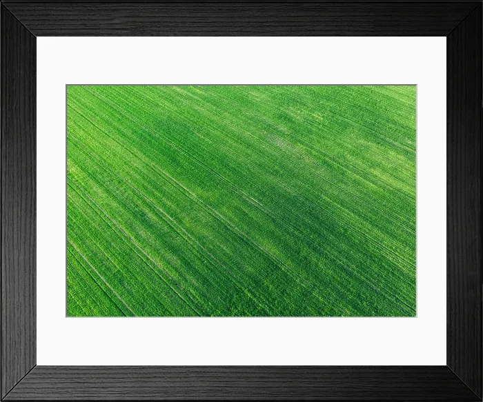 Framed Print : Aerial View Green Spring Field Landscape With Trails Lines. Flat View Of Natural Summer Green Meadow Grass Background. Top View Of Field With Growing Framed Print : Aerial View Green Spring Field Landscape With Trails Lines. Flat View Of Natural Summer Green Meadow Grass Background. Top View Of Field With Growing