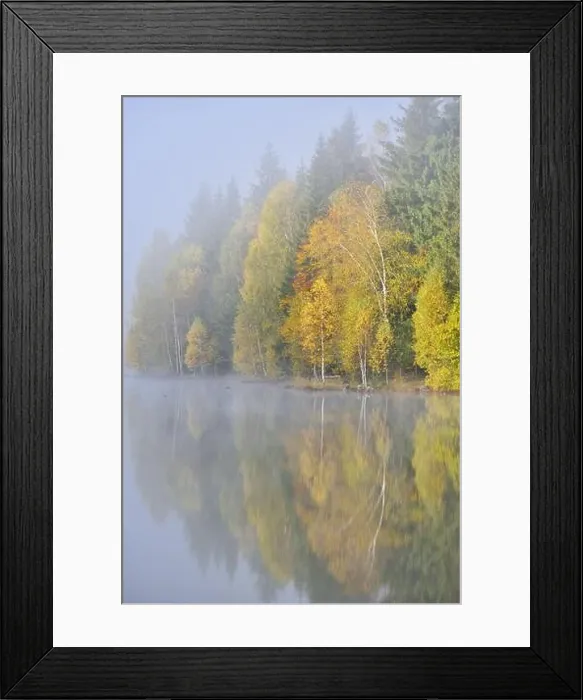 Framed Print : Autumn landscape in the mountains with trees reflecting in the water at St. Ana's lake, Romania