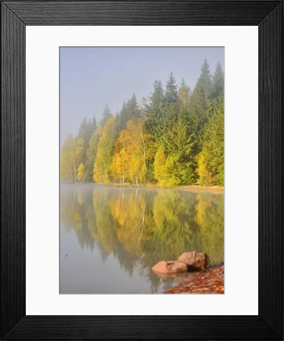 Framed Print : Autumn landscape in the mountains with trees reflecting in the water at St. Ana's lake, Romania Framed Print : Autumn landscape in the mountains with trees reflecting in the water at St. Ana's lake, Romania