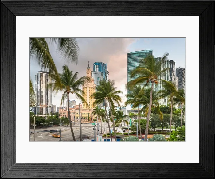 Framed Print : Miami, Florida, USA cityscape in the morning with palm trees Framed Print : Miami, Florida, USA cityscape in the morning with palm trees