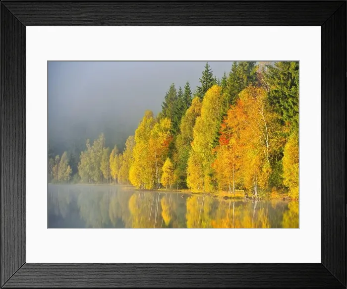 Framed Print : Autumn landscape in the mountains with trees reflecting in the water at St. Ana's lake, Romania Framed Print : Autumn landscape in the mountains with trees reflecting in the water at St. Ana's lake, Romania
